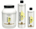 Shampooing Citron - Traditional Line