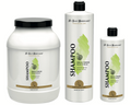 Shampooing Pomme Verte - Traditional Line