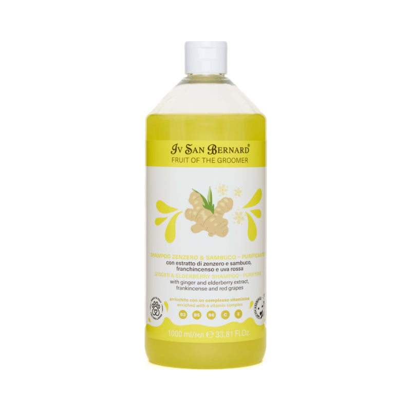 Shampooing Gingembre & Sureau - Fruit of the Groomer
