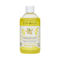 Shampooing Gingembre & Sureau - Fruit of the Groomer