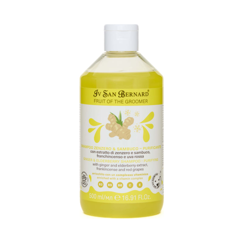 Shampooing Gingembre & Sureau - Fruit of the Groomer
